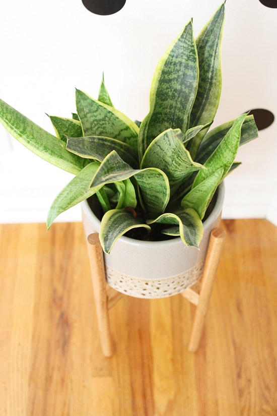 DIY Wood Plant Stand 4