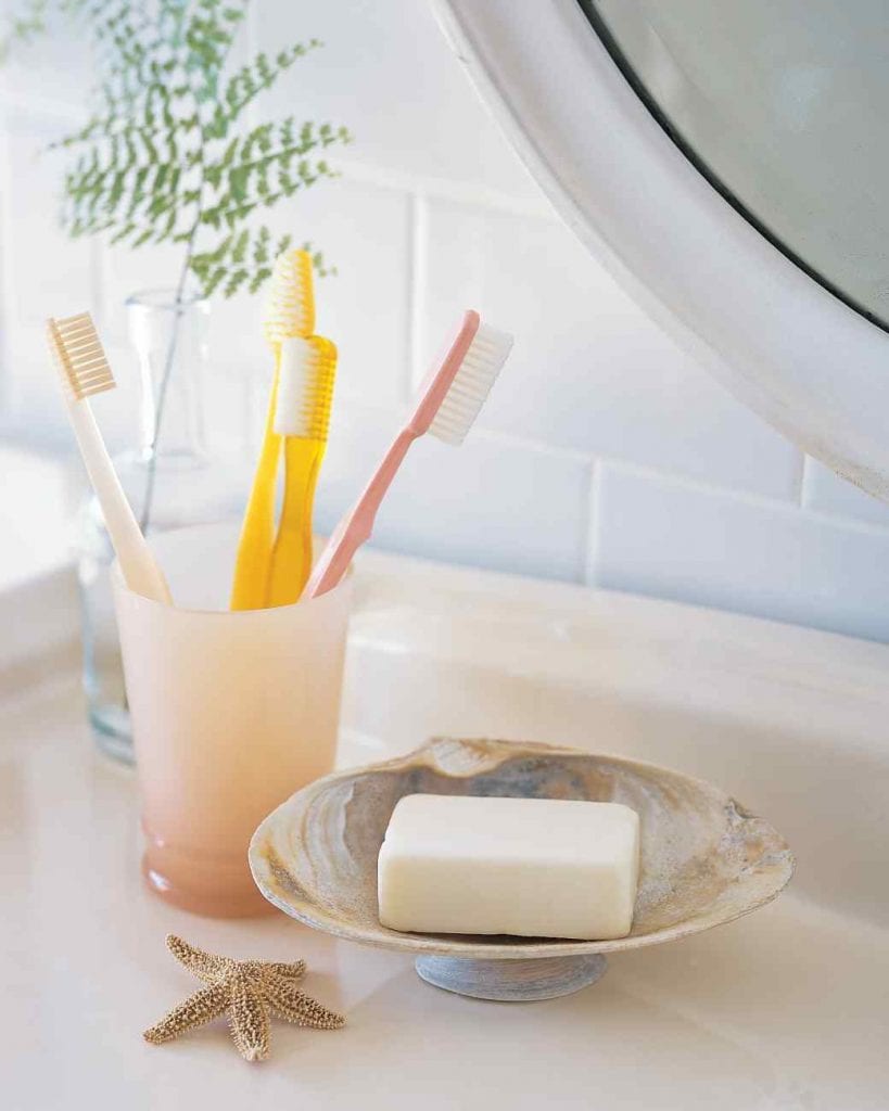 Seashell Soap Dish