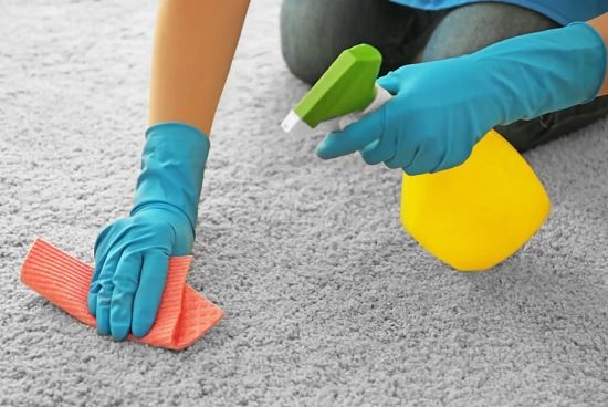 How to Get Slime out of Carpet2