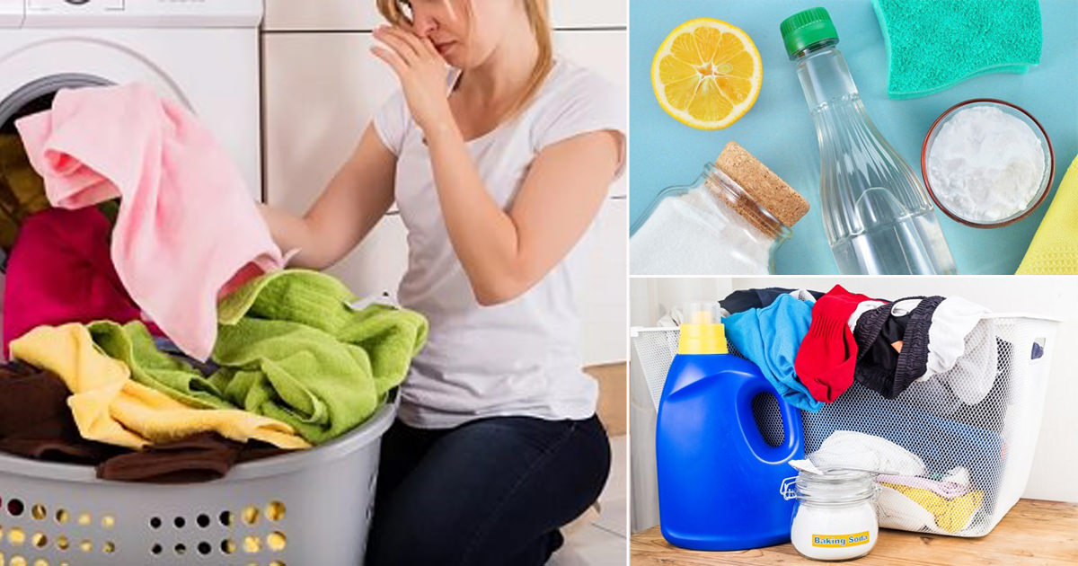 How to Get Mildew Smell out of the Clothes - Hello Lidy - How To Get The Mildew Smell Out Of Clothes