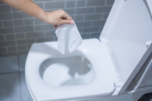 How to Unclog Toilet Clogged With Flushable Wipes 1