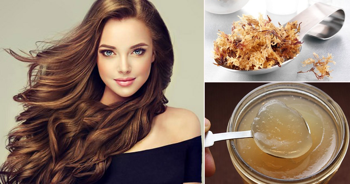 9 Impressive Sea Moss Benefits for Hair Sea Moss Recipes