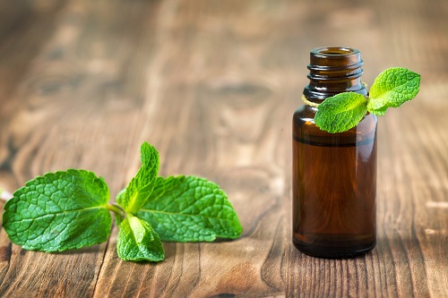 Peppermint Essential Oil for Hickey