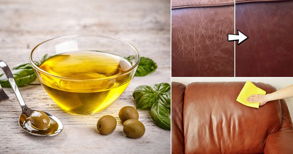 Repair Cat Scratches With Olive Oil, How Do You Repair Cat Scratches On A Leather Couch