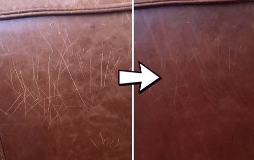 argos How do i stop my cat scratching my leather sofa Secretlab Design