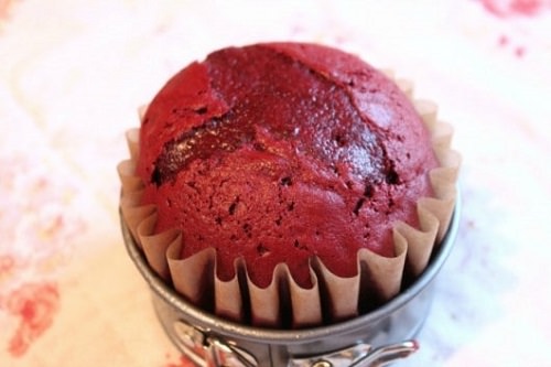 Cupcake or Muffin Liners