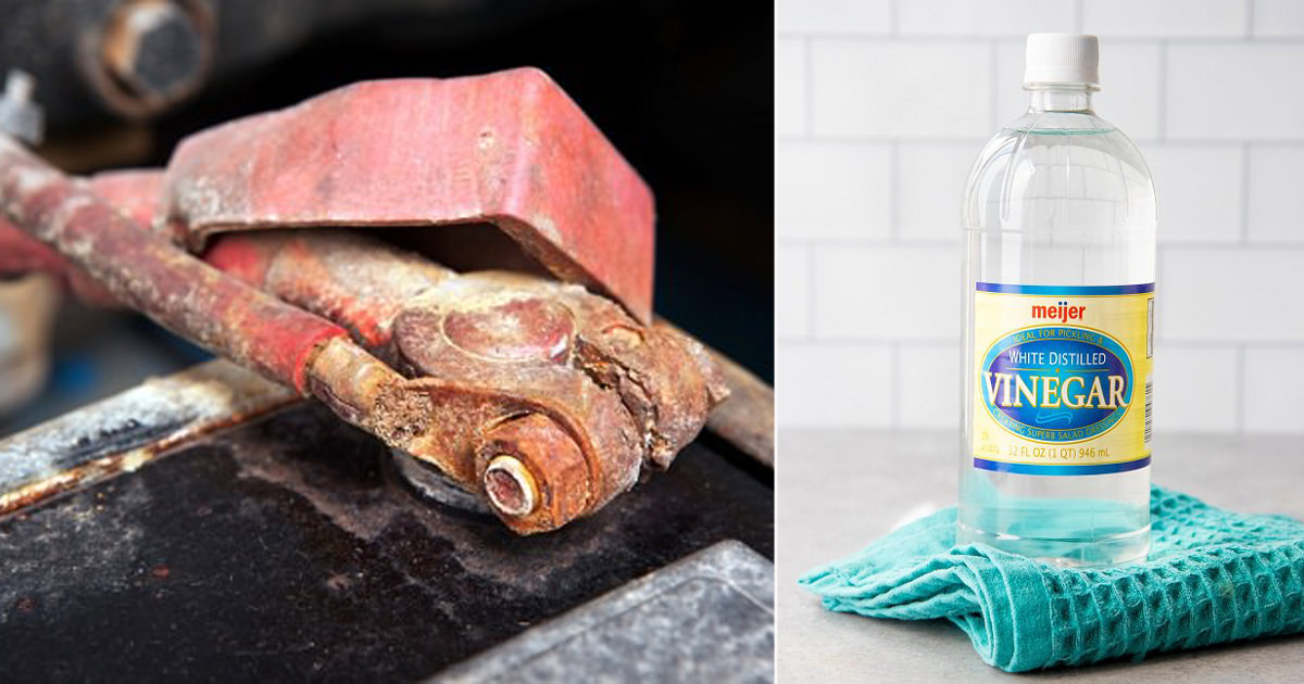 How to Clean Car Battery Terminals With Vinegar Hello Lidy