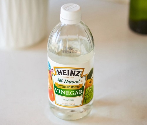 How to Clean Salt Cell With Vinegar2