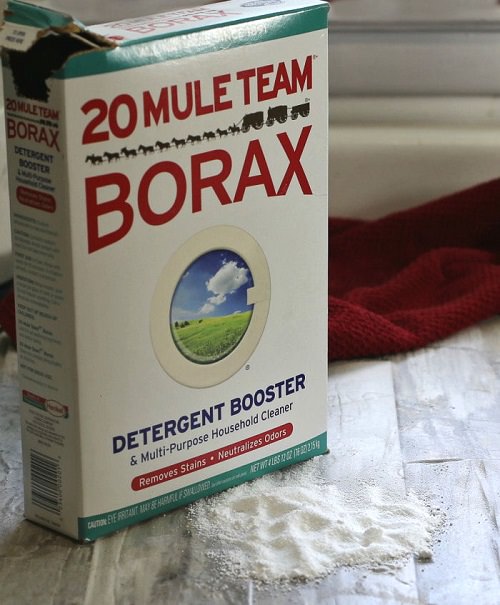 How to Preserve Flowers With Borax1