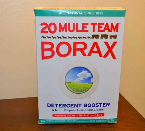 Does Borax Kill Fleas2