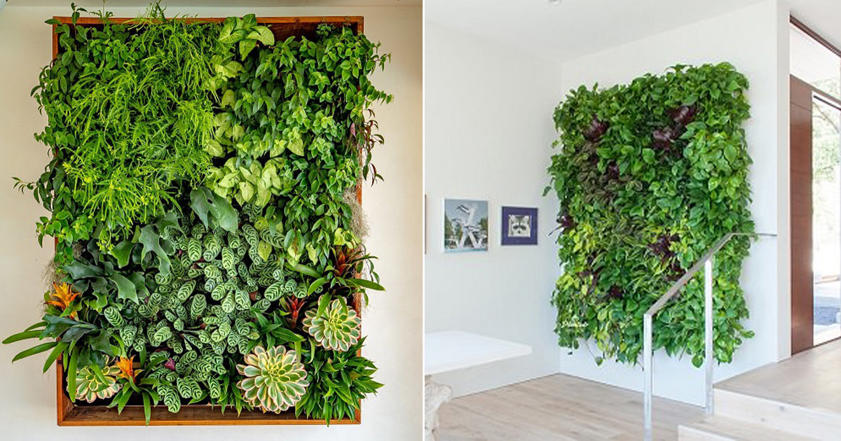 How to Make Living Wall Art | Living Wall Art DIY - Hello Lidy