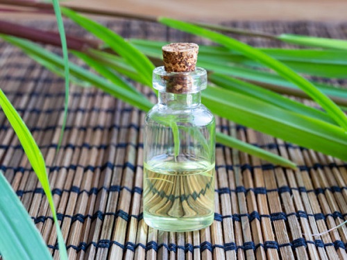 Essential Oils That Repel Wasps3
