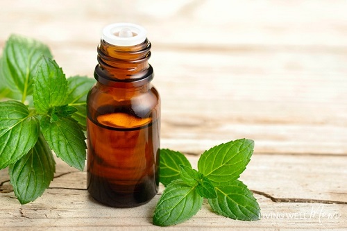 Peppermint Oil for Bees2