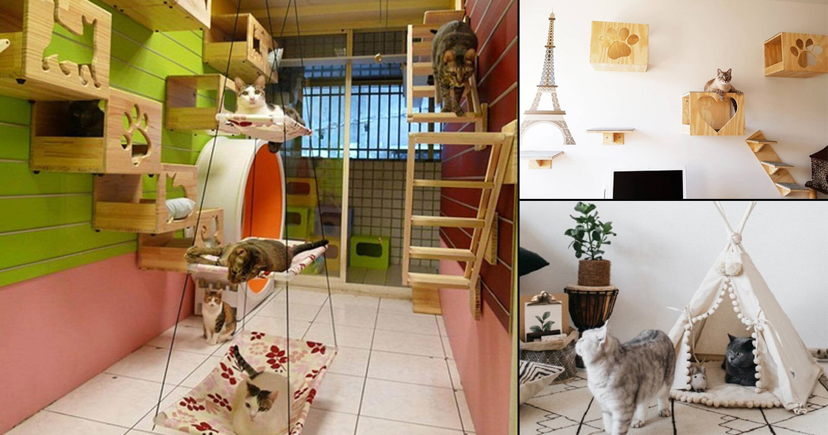 20 Creative Indoor Cat Playground Ideas Home Design Lover Cat