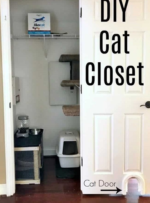 Closet Turned Cat Room