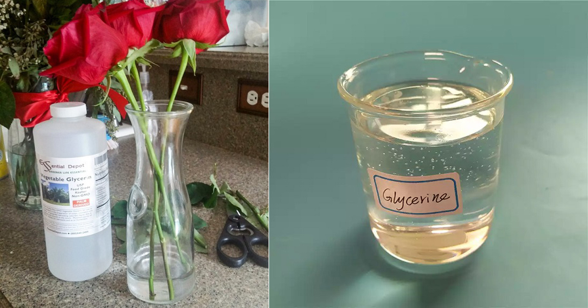 How To Preserve Flowers With Glycerine Best Flower Site