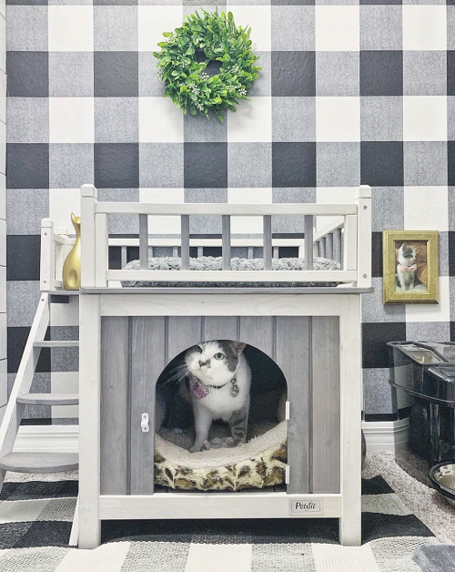 Stylish Farmhouse-Themed Cat Bedroom