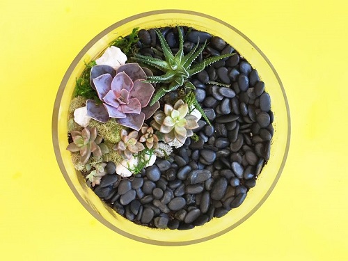 Decorate Your Space With River Rocks4