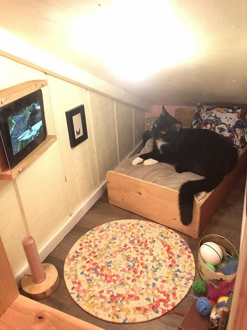 Tiny Cat Bedroom