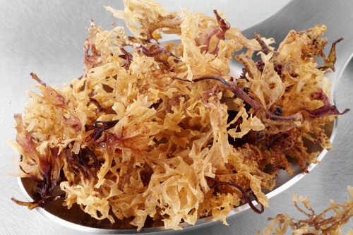 How Long Does Sea Moss Gel Last | Sea Moss Benefits - Hello Lidy How Long Does Sea Moss Gel Last | Sea Moss Benefits - Hello Lidy