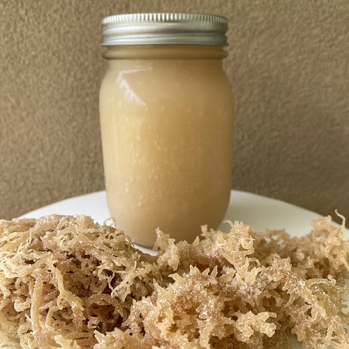 How to Store Sea Moss Gel1