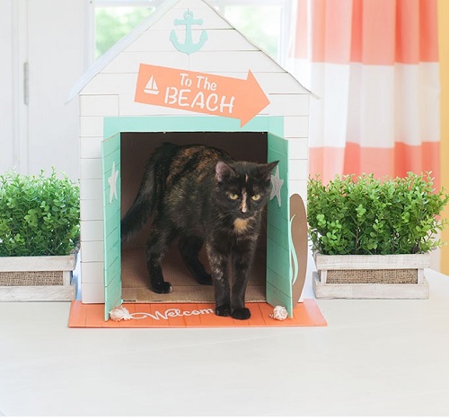 Cabana Inspired Feline House