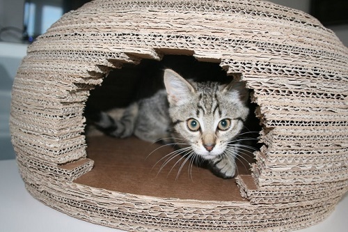 Homemade Cardboard Cat House Ideas 4