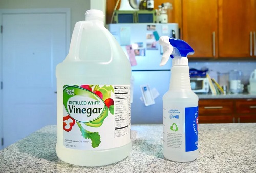 Cleaning Inside Car Windows With Vinegar1