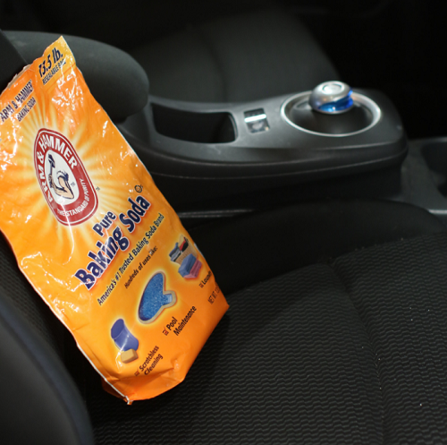 How to Remove Mold From Car Seats2