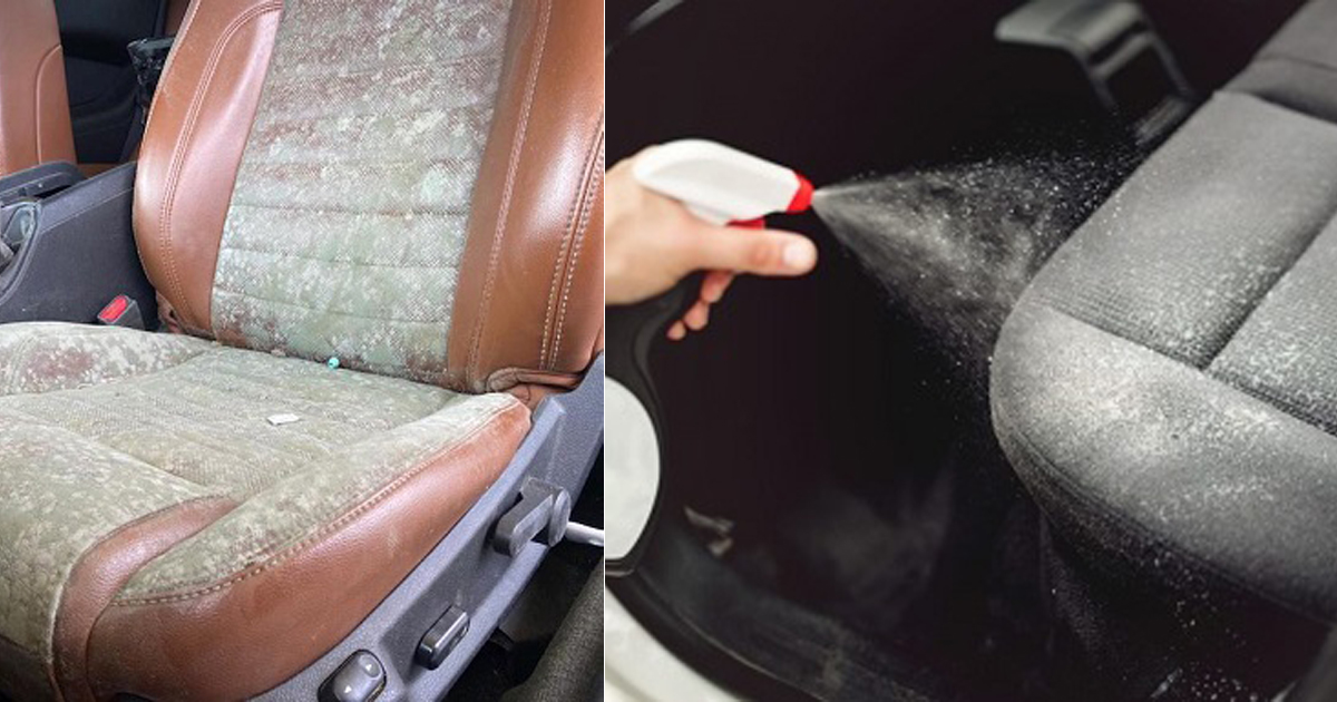 How to Remove Mold From Car Seats How to Get Rid of Mold