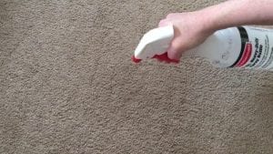 Home Remedies to Stop Cats From Pooping on Carpet - Hello Lidy