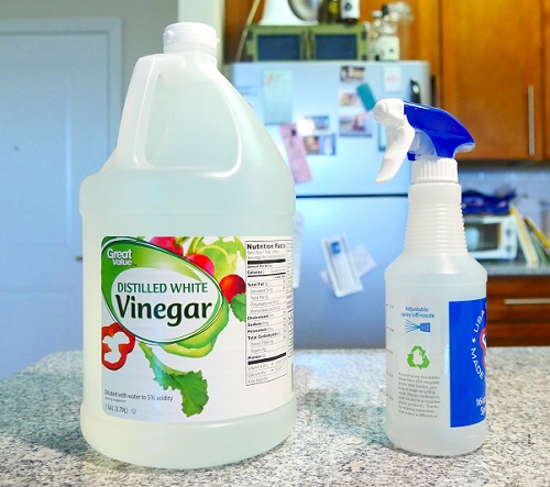 Home Remedies for Bed Bugs With Vinegar2