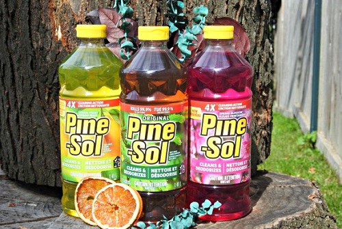 Can I Use Pine-Sol on Carpet?