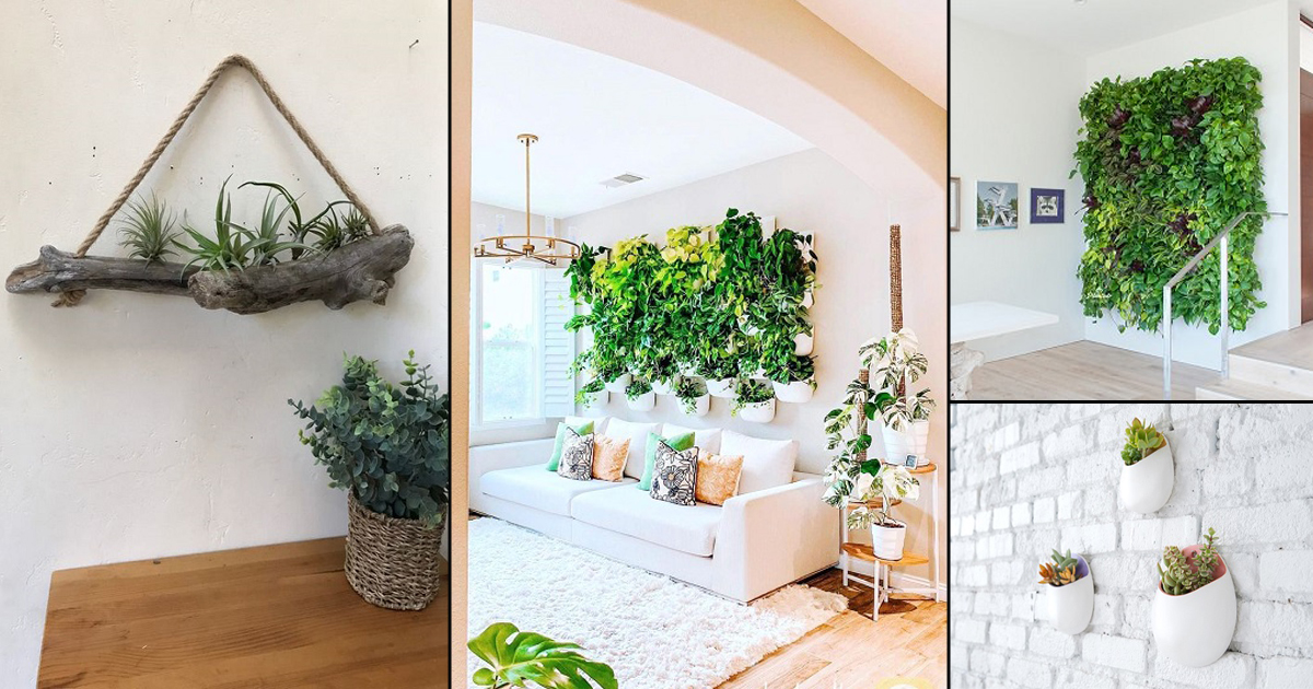 30 Attention Grabbing Indoor Plant Wall Decor Ideas That You Will Love O Lidy - Indoor Ivy Wall Diy