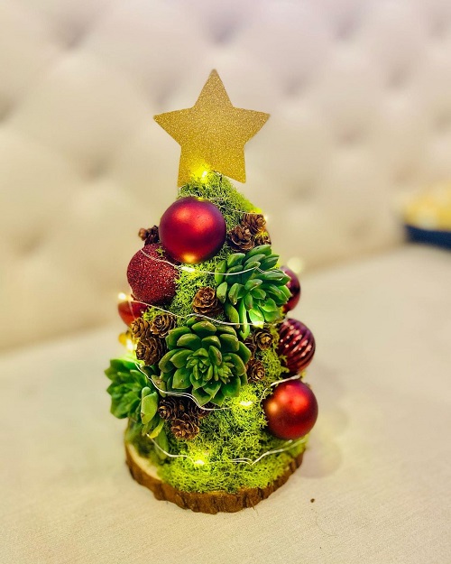 Succulent Christmas Tree Ideas 16