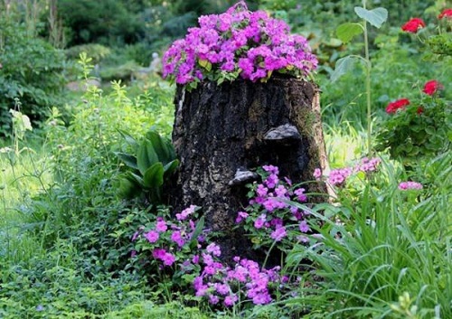 Tree Stump Ideas for Garden 1
