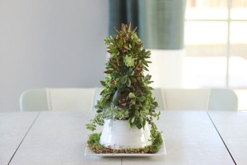 Succulent Christmas Tree Ideas 3