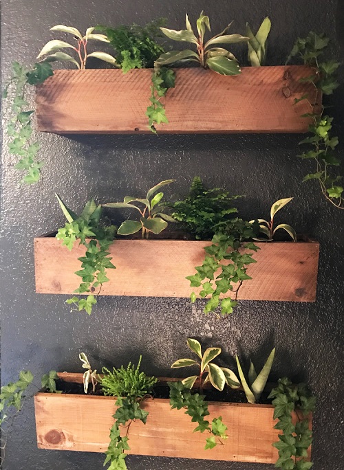 35+ Indoor Plant Wall Decor Ideas 16