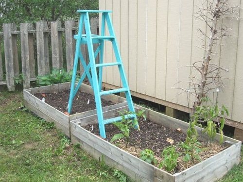 DIY Ladder Trellis