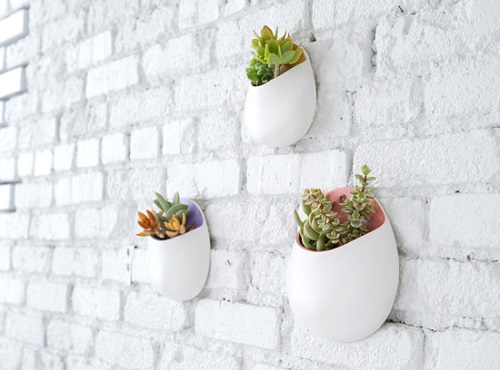  Indoor Plant Wall Decor Ideas 2