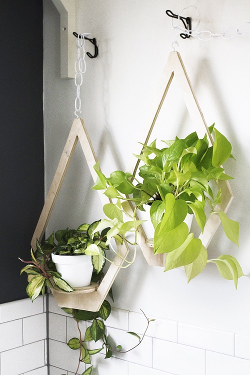 35+ Indoor Plant Wall Decor Ideas 6