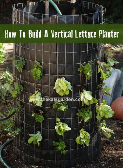 DIY Vertical Lettuce Tower