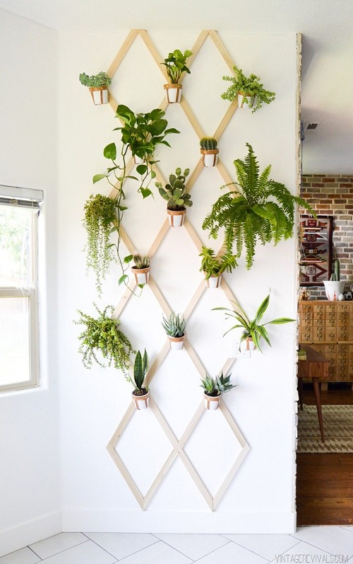 35+ Indoor Plant Wall Decor Ideas 4