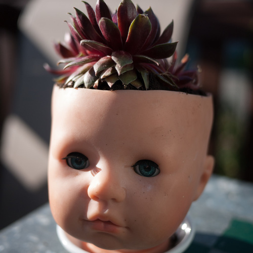 Doll Head Succulent Pot
