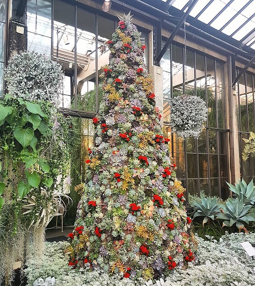 Succulent Christmas Tree Ideas 4