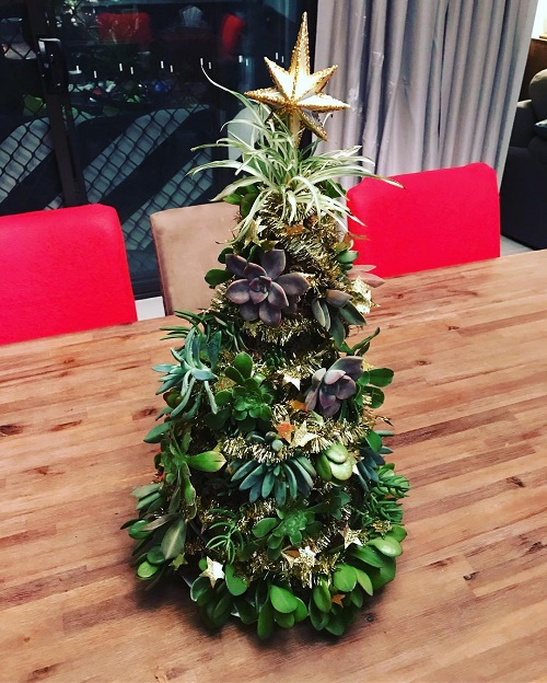 Succulent Christmas Tree Ideas 13