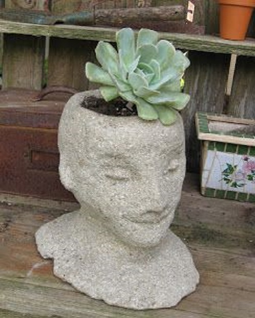 DIY Head Planter Ideas 7