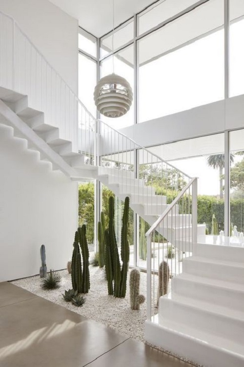 A Cactus Landscape Under White Stairs