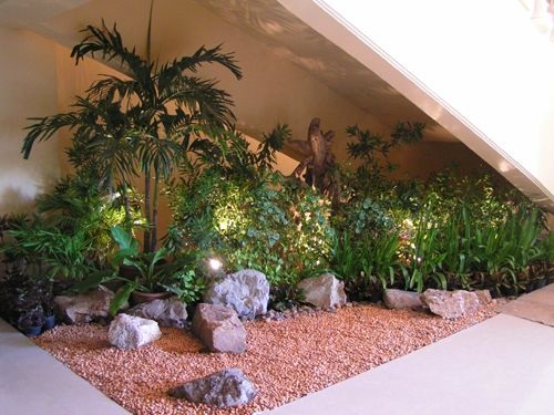 Rocks, Lights, and Lots of Plants