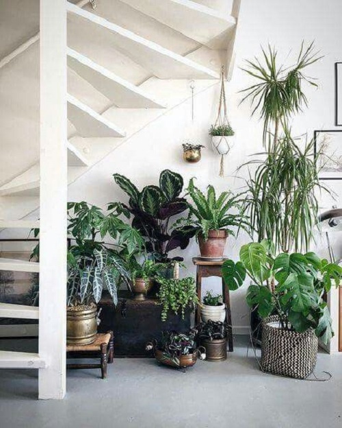 Indoor Garden Under Stairs Ideas 7